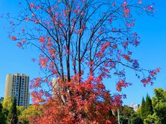 -昆明城市学院(海源校区)
