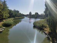 -大兴滨河森林公园