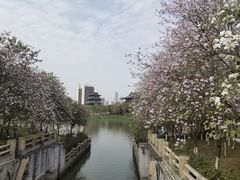 -海珠湖公园