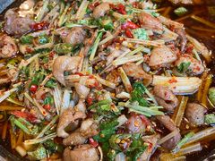 肥肠-邱金小炒·30 年盐帮江湖菜(自贡店)