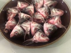 -章记正宗南岗鱼蛋火锅