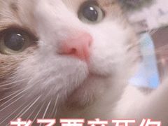 -茉酸奶(松江开元地中海店)