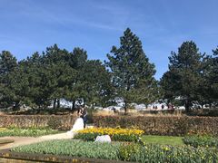 -库肯霍夫公园