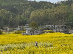 -秦巴石锅鱼(文化南路店)