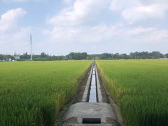 -嘉北郊野公园