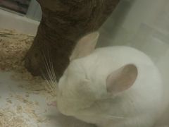 -龙猫仔乐园(惠福东路店)