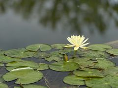 -上海植物园-4号门售票处