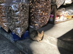 -车头老二大排档