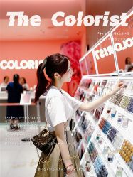 -THE COLORIST调色师