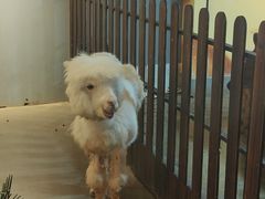 -昆明大悦城未来动物城(螺蛳湾中心店)