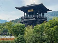-大唐贡茶院