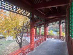 -北坞公园