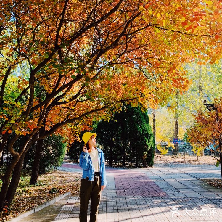 来这里原本是为了和朋友约着一起打cs