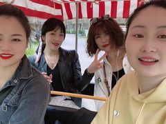 -合肥滨湖国家森林公园