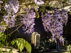 -夜宴江景餐厅