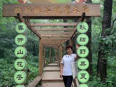 -大岭沟猕猴桃谷风景区