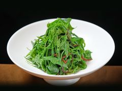 -南堂馆·新川菜(春熙路店)