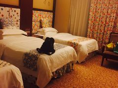 -张家界大成山水国际大酒店