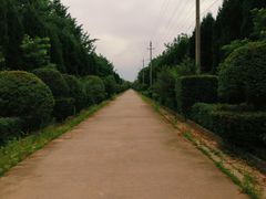 -西部兰花园生态园