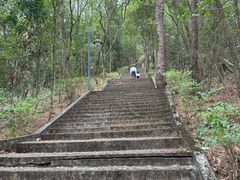 -神光山国家森林公园