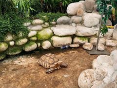 -南宫五洲植物乐园