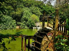 -深圳国际园林花卉博览园