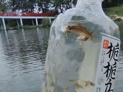 -美兰湖景区
