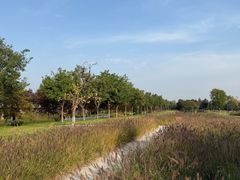 -汉长安城未央宫国家考古遗址公园