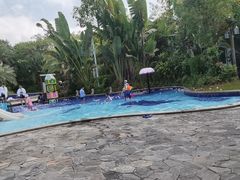 -碧桂园润杨溪谷温泉酒店