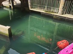 -阿依河景区