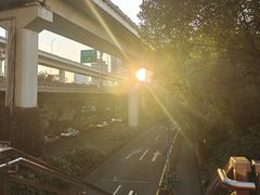 -上海滨江森林公园