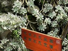 -寂照庵