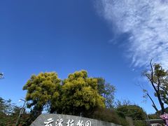 -云溪植物园