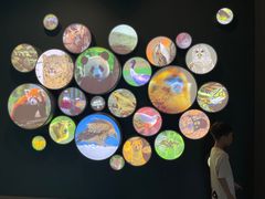 -四川大学博物馆