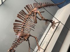 -湖南省地质博物馆