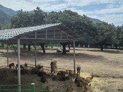 -西安秦岭野生动物园