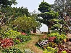 -南宁南湖公园