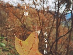 -广州市石门国家森林公园