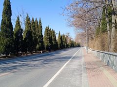 -风车面包