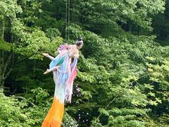 -洛阳白云山景区