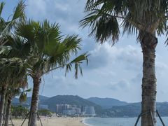 -大梅沙海滨公园