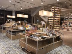 -猫的天空之城概念书店(北戴河蔚蓝海岸店)