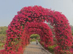 -东莞植物园