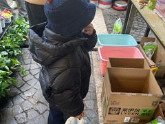 -曲阳花鸟市场(曲阳路店)
