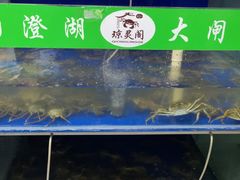 -阳澄湖大闸蟹·琼灵阁牌品牌连锁(吴中总店)
