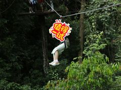 -西双版纳原始森林公园