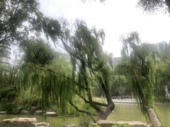 -西宁市人民公园(城西区)