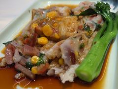 -陶缘一号·四季缘·老字号顺德菜·户外婚礼家宴(西滘店)