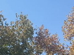 -汇丰银行(上海商城支行)