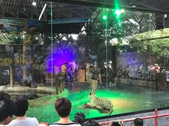 -清迈夜间动物园